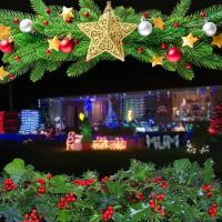 Christmas Lights in St Huberts Island